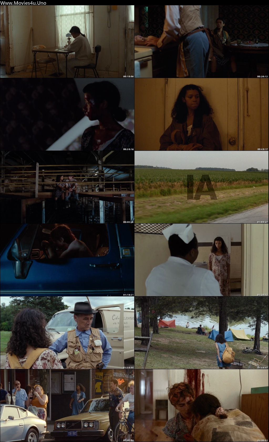 Bones and All (2022) Hindi Dual Audio HDRip 720p – 480p